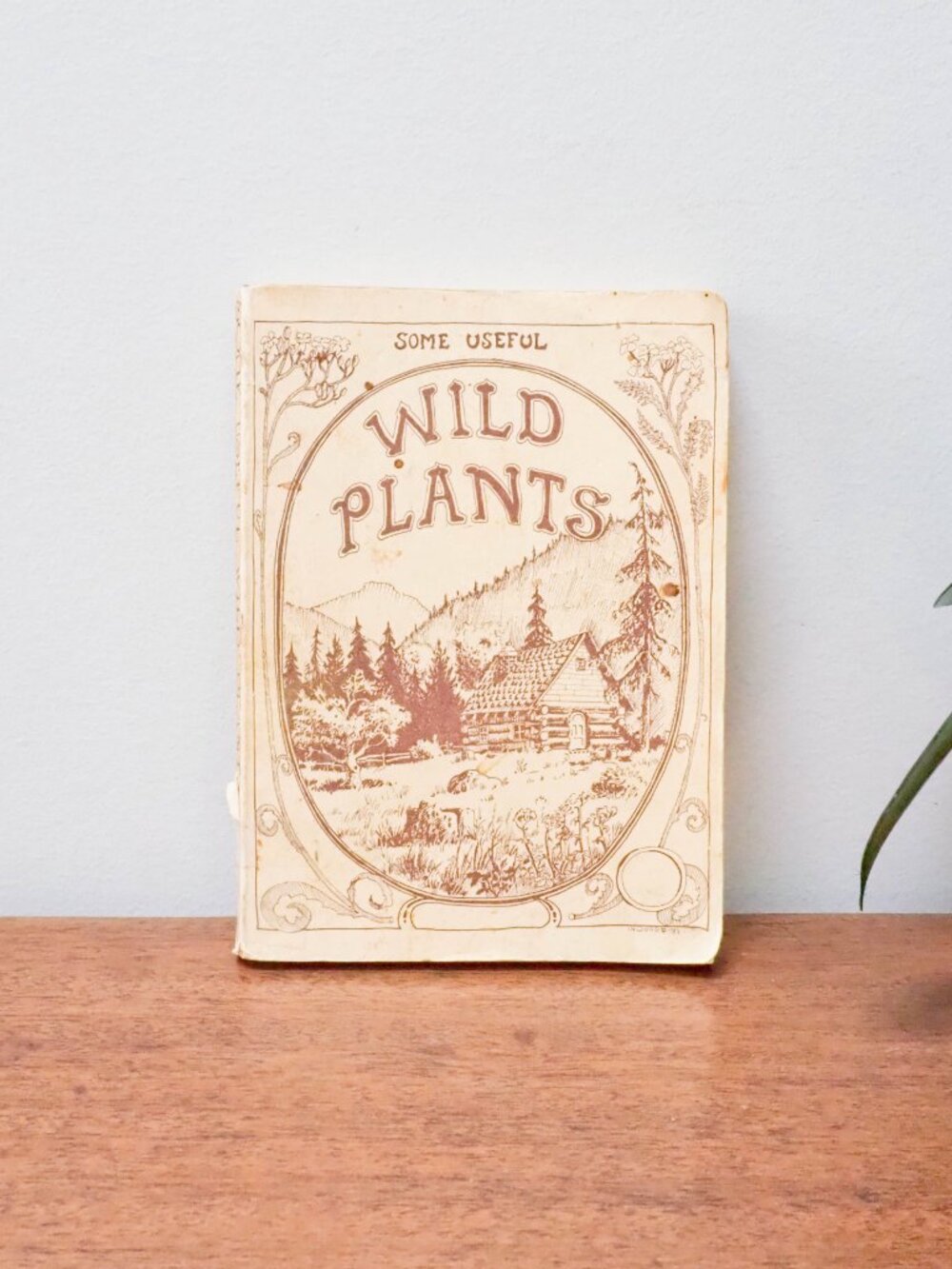Some Useful Wild Plants - 1973 - David Manning - Vintage Foraging Guide - Picture 2 of 16